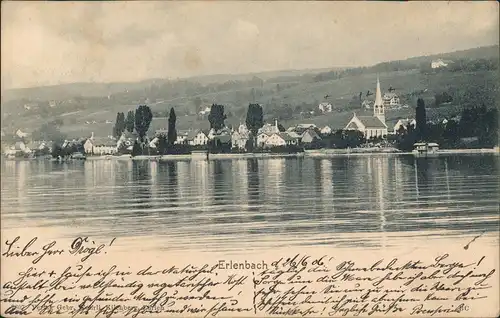 Ansichtskarte Erlenbach im Simmental Blick auf die Stadt 1906