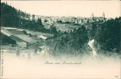 Ansichtskarte Freudenstadt Panorama-Ansicht Umland-Ansicht 1900
