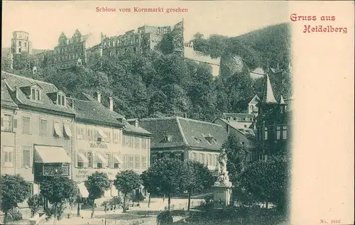 Ansichtskarte Heidelberg Stadtteilansicht mit Hut-Fabrik & Schloss 1900