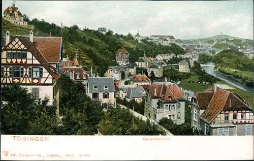 Litho AK Tübingen Gesamtansicht Wohnhäuser Wohnviertel 1905/1903
