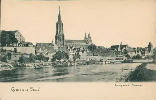 Ulm a. d. Donau Panorama-Ansicht Partie a.d. Donau, Stadt-Teilansicht 1900