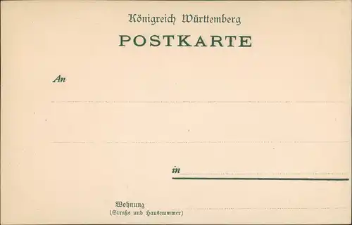 Ulm a. d. Donau Panorama-Ansicht Partie a.d. Donau, Stadt-Teilansicht 1900