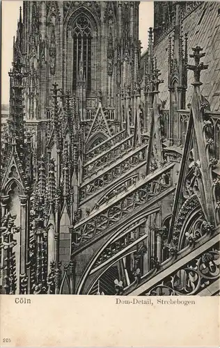 Ansichtskarte Köln Dom-Detail, Strebebogen Kölner Dom 1900