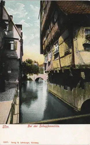 Ansichtskarte Ulm a. d. Donau Bei der Schapfenmühle 1906