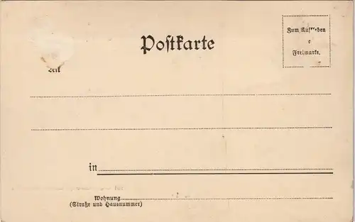 Ansichtskarte Saalfeld (Saale) Straßenpartie am Saalthor 1908