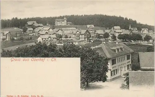 Oberhof (Thüringen) Panorama-Ansicht mit Blick auf Wohnhäuser & Hotels 1900