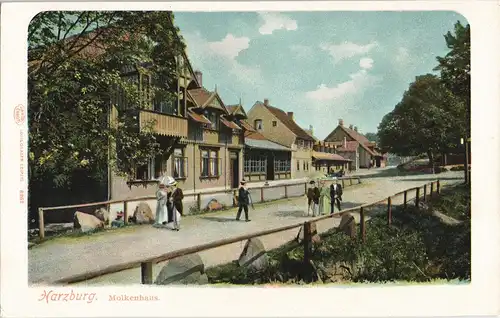 Ansichtskarte Bad Harzburg Molkenhaus - Weg - belebt 1900