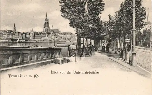Frankfurt am Main Blick von der Untermainbrücke Stadtteilansicht 1900