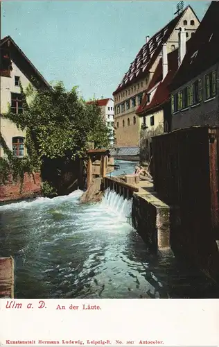 Ansichtskarte Ulm a. d. Donau An der Läute 1908