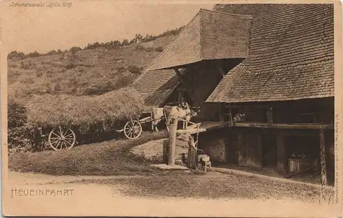 .Baden-Württemberg Schwarzwald (Landwirtschaft) Heu-Einfahrt Ochsen Fuhrwerk 1900