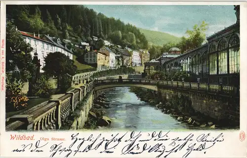 Ansichtskarte Bad Wildbad Olgastrasse 1902