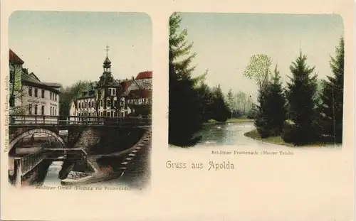 Apolda Stadtteilansichten Schötner Grund, Promenade und Oberer Teich 1900