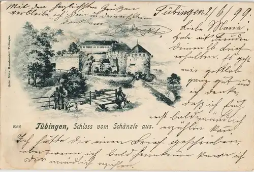 Ansichtskarte Tübingen Schloß vom Schänzle - Künstlerkarte 1899