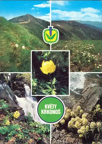Postcard .Tschechien KVĚTY KRKONOS Mehrbildkarte 4 Ansichten 1983