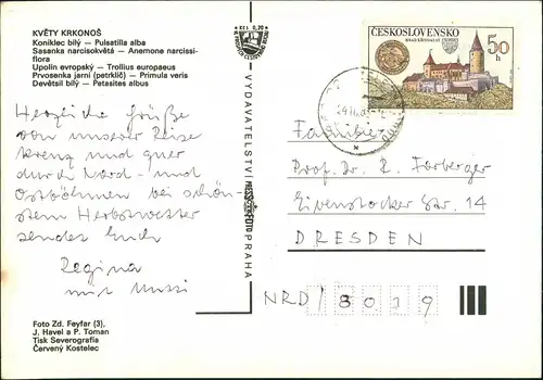 Postcard .Tschechien KVĚTY KRKONOS Mehrbildkarte 4 Ansichten 1983