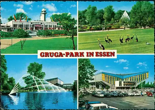 Ansichtskarte Essen (Ruhr) Grugapark Mehrbild-AK mit 4 Foto-Ansichten 1967