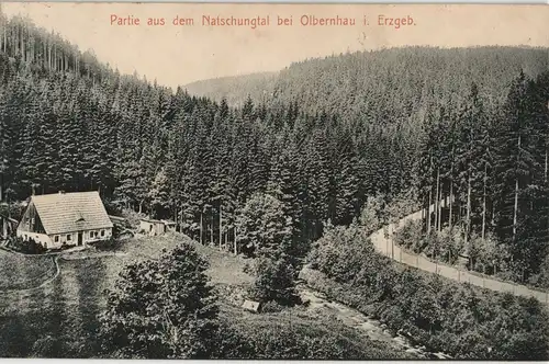 Postcard Natschung-Kallich Načetín Kalek Natschungtal - Hütten 1914