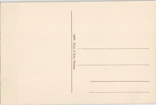 Postcard Tetschen-Bodenbach Decín Blick auf die Stadt - Dampfer 1912