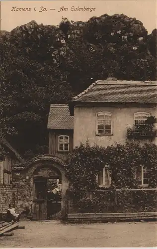 Ansichtskarte Kamenz Kamjenc Am Eulenberge 1914 #