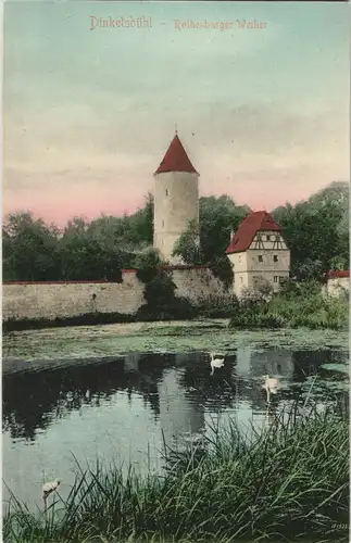 Ansichtskarte Dinkelsbühl Partie am Rothenburger Weiher 1905