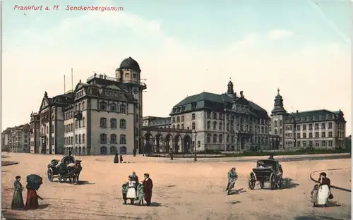 Frankfurt am Main Senckenberg Museum Senckenbergianum Vorplatz mit Kutschen 1910