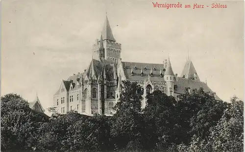 Ansichtskarte Wernigerode Schloss Bäume 1909