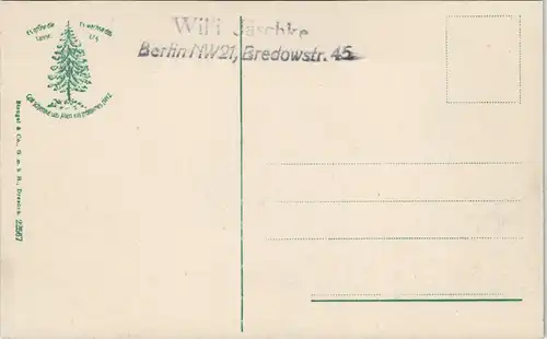 Ansichtskarte Wernigerode Schloss Bäume 1909