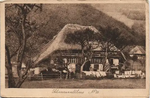 .Baden-Württemberg Schwarzwaldhaus  Schwarzwald (Mittelgebirge) 1920