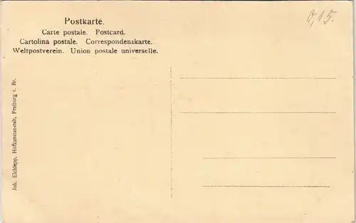 .Baden-Württemberg Schwarzwaldhaus (ohne Ortsangaben) Black-Forest-House 1910