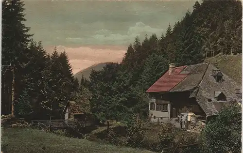 .Baden-Württemberg Schwarzwaldhaus Bauernhaus Gehöft im Höllental   1920