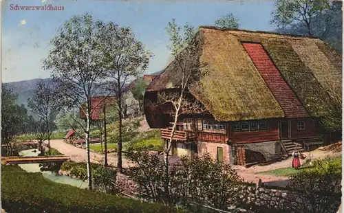 .Baden-Württemberg Schwarzwaldhaus color Künstler-AK Schwarzwald Gehöft 1910