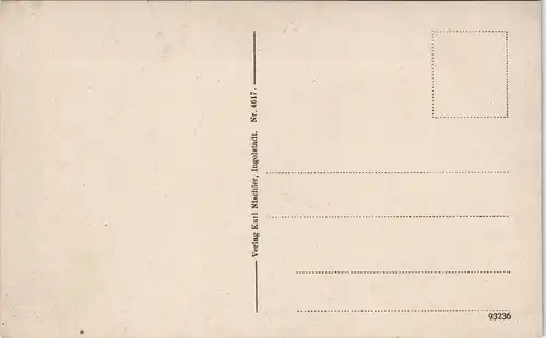 Ansichtskarte Ingolstadt Stadtteilansicht Panorama-Ansicht Stadt Zentrum 1910