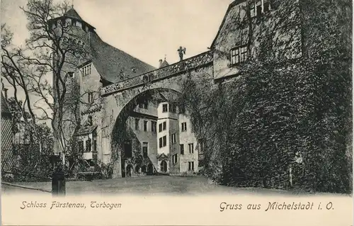 Ansichtskarte Michelstadt Schloss Fürstenau - Torbogen, Bäume 1908