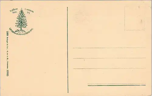 Ansichtskarte Goslar Petersilienstraße Geschäfte - Kutsche 1908