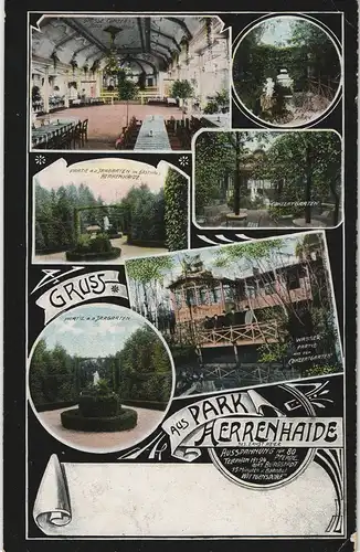 Ansichtskarte Burgstädt Park Herrenhaide MB Saal b. Chemnitz 1908