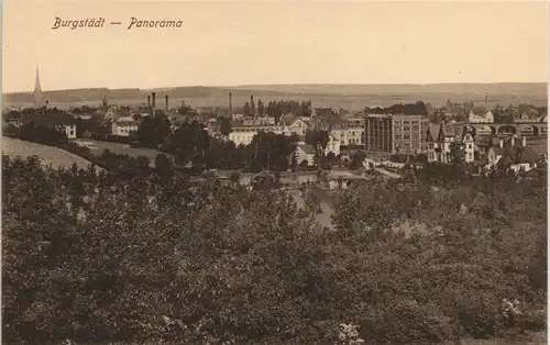 Ansichtskarte Burgstädt Fabrik und Stadt 1913