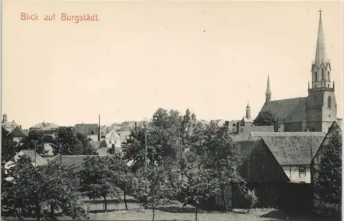 Ansichtskarte Burgstädt Stadtpartie 1903