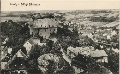 Ansichtskarte Leisnig Blick vom Schloss Mildenstein 1913