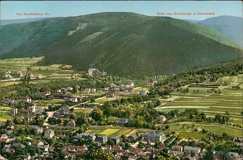 Ansichtskarte Bad Blankenburg Blick auf die Stadt 1916