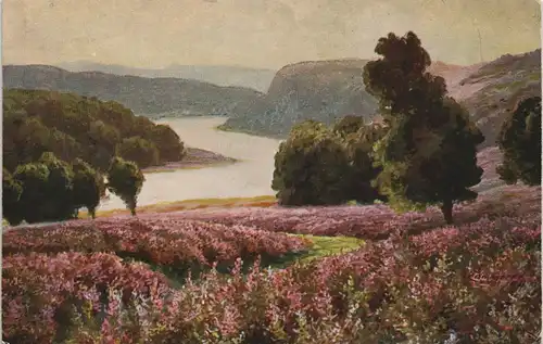 .Niedersachsen Künstlerkarte Lüneburger Heide blühende Heide 1910