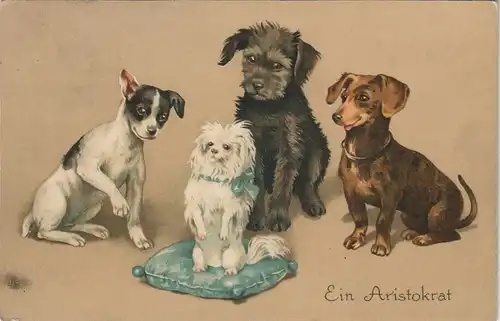 Ansichtskarte  Tiere - Hunde div. Rassen - Künstlerkarte 1924