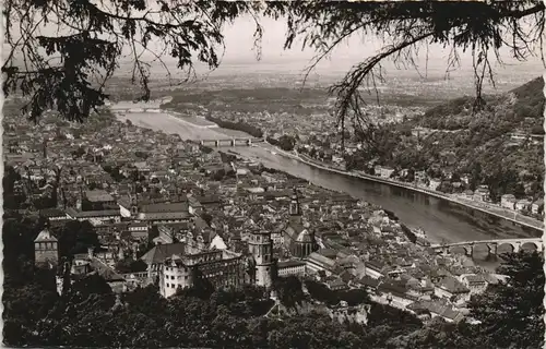 Ansichtskarte Heidelberg Panorama Blick vom Rindenhäuschen 1960
