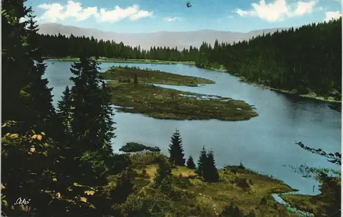 Bayerisch Eisenstein Kleiner Arbersee Bayer. Wald 1964   gelaufen Stempel CHAM