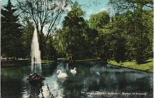 Ansichtskarte Bad Orb Kurpark mit Schwänen am Weiher 1967