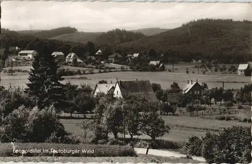 Leopoldstal-Horn-Bad Meinberg Panorama Stadtteil  1970/1966   gel  Stempel HORN