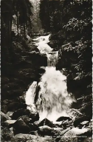 Triberg im Schwarzwald Kaskaden-Wasserfall Waterfall River Falls 1960