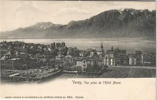 Ansichtskarte Vevey Stadt und Hotel Moser 1911