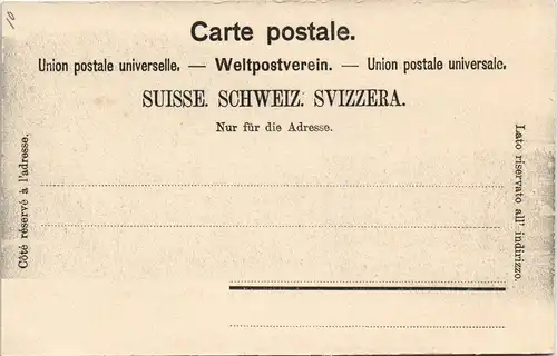 Ansichtskarte Vevey Stadt und Hotel Moser 1911