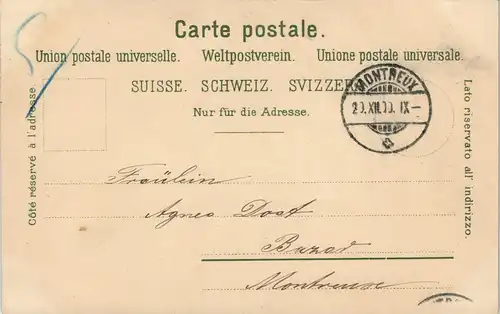 Ansichtskarte .Schweiz Neujahr Bonne Annee, Briefkasten Schweiz 1901
