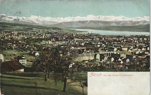 Ansichtskarte Zürich Stadt von Waid gesehen 1906